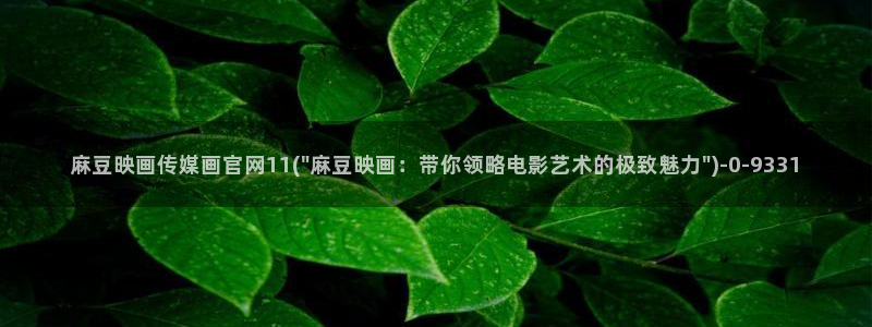 麻豆传媒官网原创：麻豆映画传媒画官网11(\