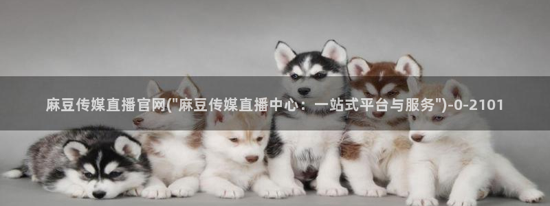 麻豆影片传媒官网：麻豆传媒直播官网(\