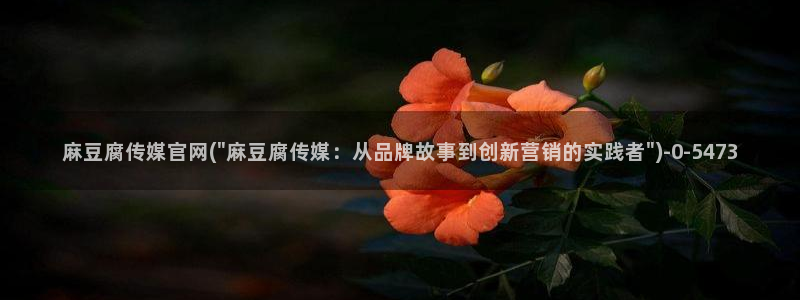 md麻豆传媒官网app：麻豆腐传媒官网(\