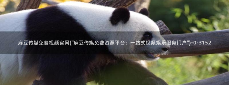 麻豆传媒网站官网：麻豆传媒免费视频官网(\
