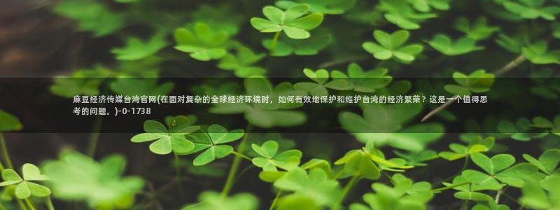 mdl pud 麻豆传媒官网：麻豆经济传媒台湾官网(在面对复杂的全球经济环境时，如何有效地保护和维护台湾的经济繁荣？这是一个值得思考的问题。)