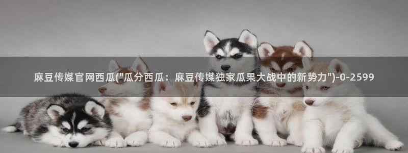 麻豆传媒官网在哪里