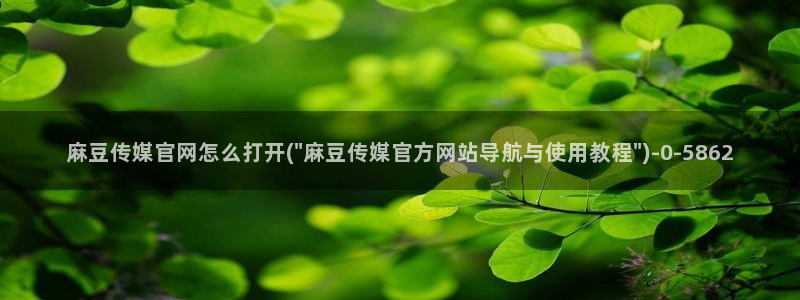 麻豆传媒官网影视