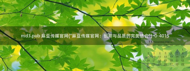 麻豆传媒官网怎么破解
