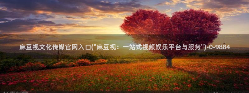 台湾麻豆传媒官网地址：麻豆视文化传媒官网入口(\