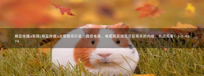 麻豆传媒社区官网APP：麻豆传媒a官网(麻豆传媒a主营娱乐行业，提供电影、电视剧及综艺节目相关的内容，欢迎观看！)