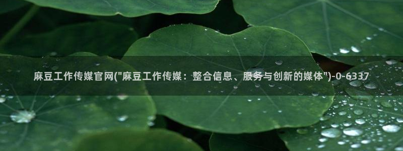 麻豆传媒官网油管