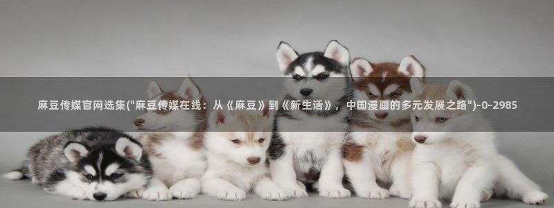 麻豆传媒官网 在线