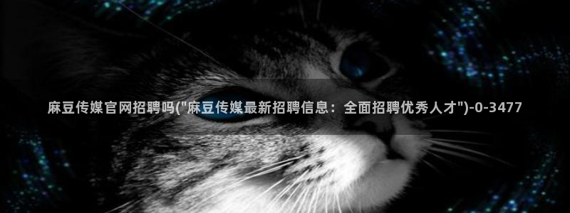 麻豆A 传媒官网进入