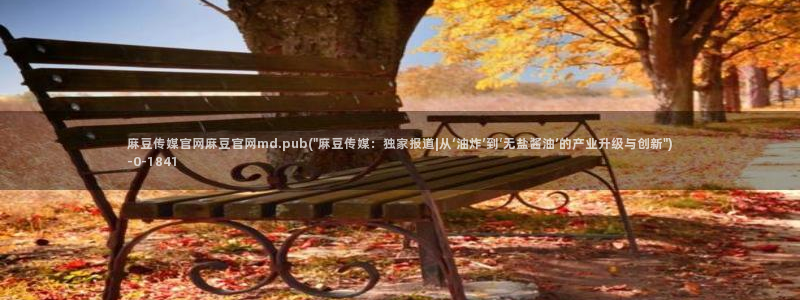 麻豆 传媒 官网