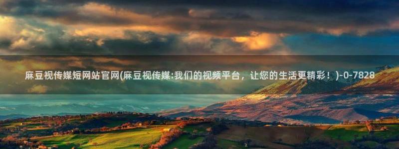 麻豆视传媒官网入口